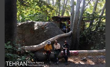 آخر هفته در ارتفاعات درکه 27