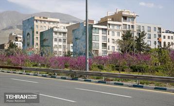 هوای بهاری منطقه 5 36