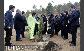 آغاز عملیات اجرایی نهضت درختکاری پردیس گردشگری 24