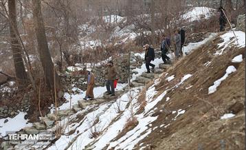 بازدید نخبگان منطقه ۵ از پروژه‌های عمرانی 18