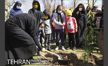 مراسم روز درختکاری در منطقه 7