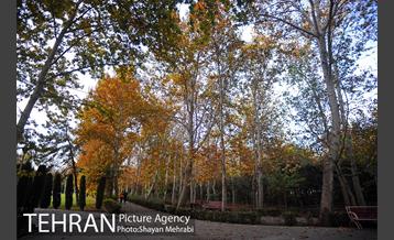 طبیعت پاییزی بوستان لاله 14