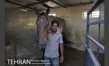 سوارکاری ورزشی برای کودکان‎ 2