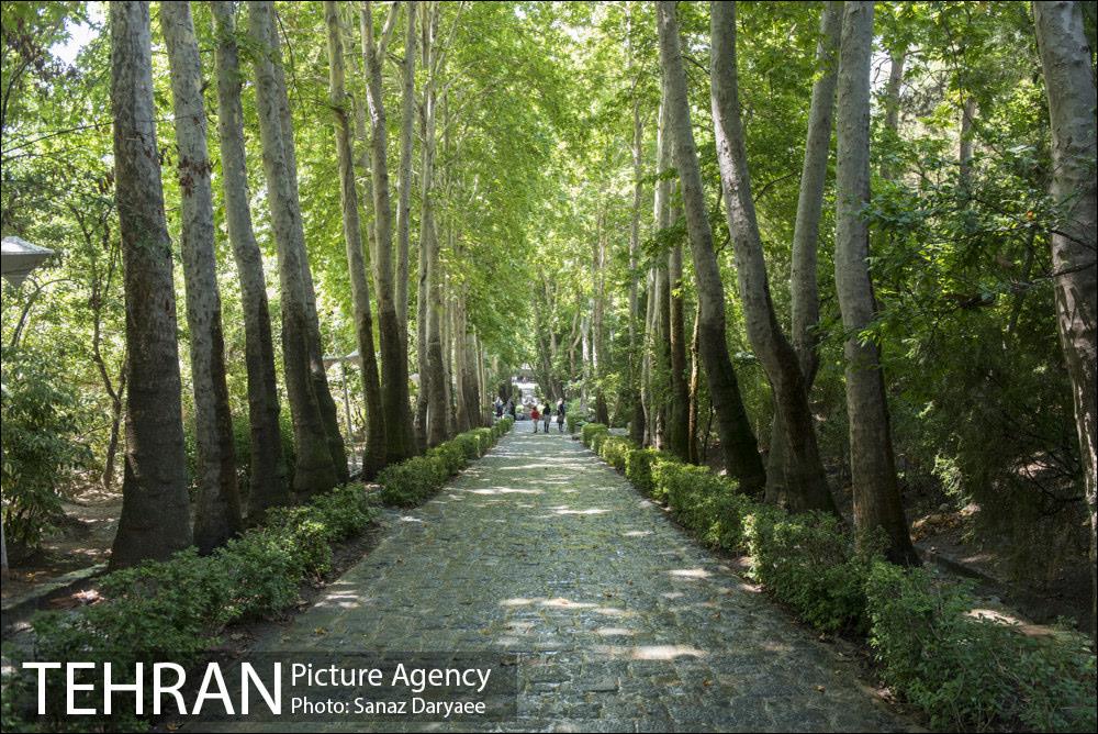 بوستان جمشیدیه‎ 1