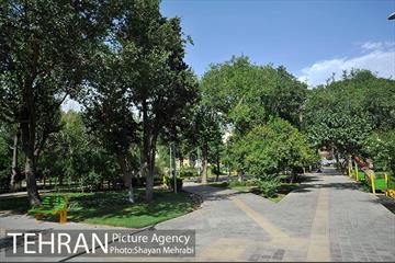 بوستان هفت چنار 7