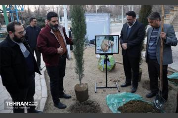 جشن درختکاری در منطقه 18 6