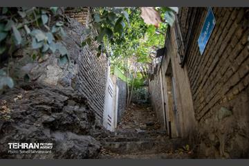 شهرنگار؛ درکه 41