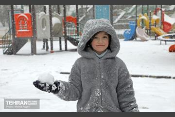 بارش برف زمستانی در منطقه ۲ 29