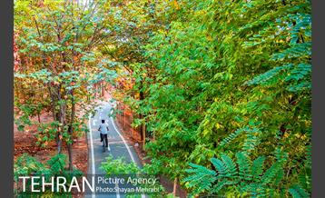 بوستان جنگلی چیتگر 34