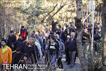 همایش بزرگ پیاده روی خانوادگی شهرداری تهران  7