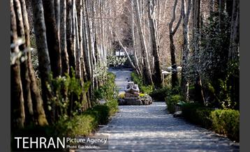 بوستان جمشیدیه (باغ سنگی جمشیدیه) 24