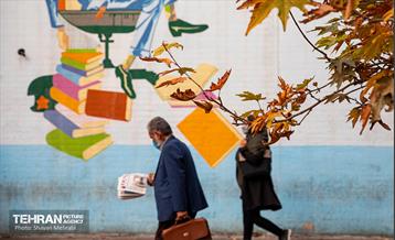 سمفونی رنگ های پاییزی  18