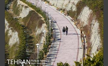 بوستان پرواز 13