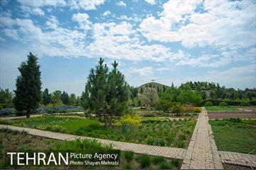باغ گیاه‌شناسی ملی ایران 7