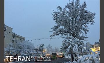 صبح برفی تهران 38