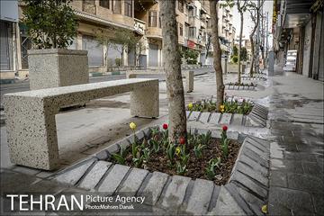 باز پیرایی خیابان 50 ساله 24