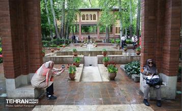 لاله‌ها میهمان باغ ایرانی 13