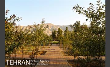 باغ راز هستی 15