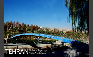 پاییز رنگارنگ بوستان جوانمردان ایران 30