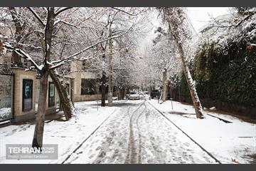 روز زمستانی تهران 15
