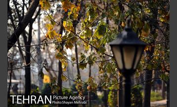 پاییز باغ ایرانی 10