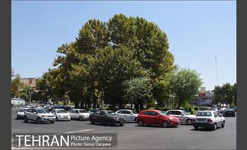 محله تجریش 34