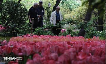 به وقت اردیبهشت؛ باغ ایرانی 10