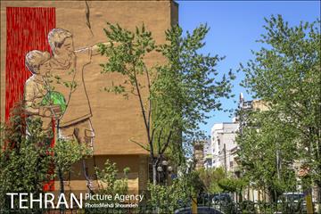 رنگ و بوی بهاری در خیابان های منطقه 7