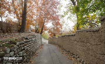 طبیعت پاییزی کوچه باغ‌های محله کن 7