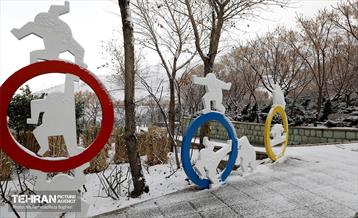 روز برفی در منطقه 22 12