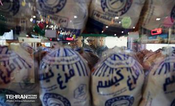 بازدید مدیرعامل سازمان تره‌وبار از میادین میوه 30