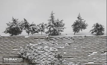 بارش برف زمستانی در تهران 10