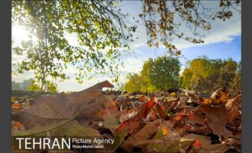 پاییز زیبای منطقه کن 12