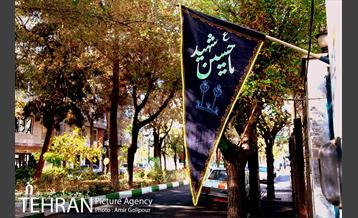 محله نازی آباد 7