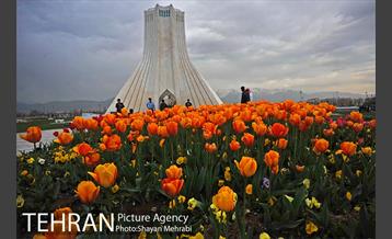 رویش گل های لاله در میدان آزادی 47