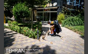 شهرنگار؛ پارک اندیشه 10