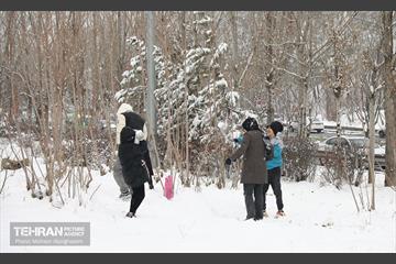 روز برفی تهران - 2 6
