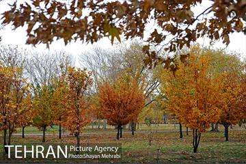باغ گیاه‌شناسی ملی ایران 23