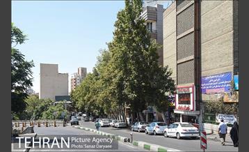 محله تجریش 28