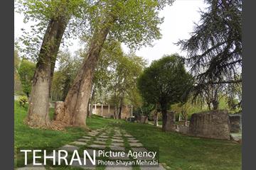 کاخ نیاوران 34
