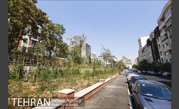 بوستان پدر 27