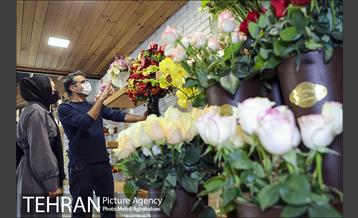 مرکز گل و گیاه ایوار 7