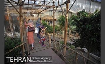 باغ پرندگان تهران 25