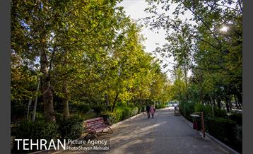 پاییز بوستان لاله 11