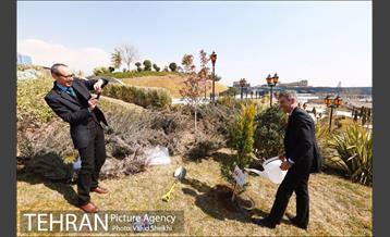 آیین کاشت درخت صلح و دوستی 35