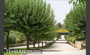 بوستان پردیس بانوان 23