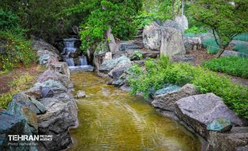 باغ گیاه‌شناسی 43