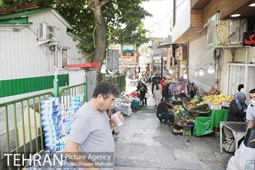 زیر آفتاب سوزان 28