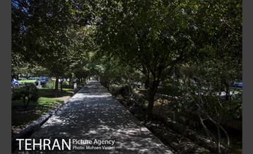 بلوار کشاورز 20