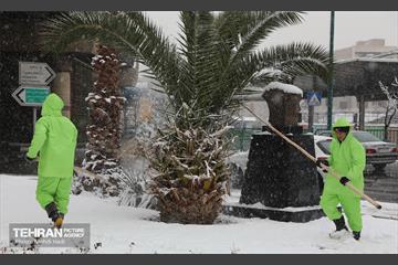 روز برفی در منطقه 8